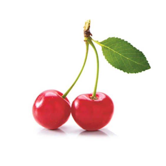 Fruit Paste | Cherry and Blueberry | Shoreline Fruit